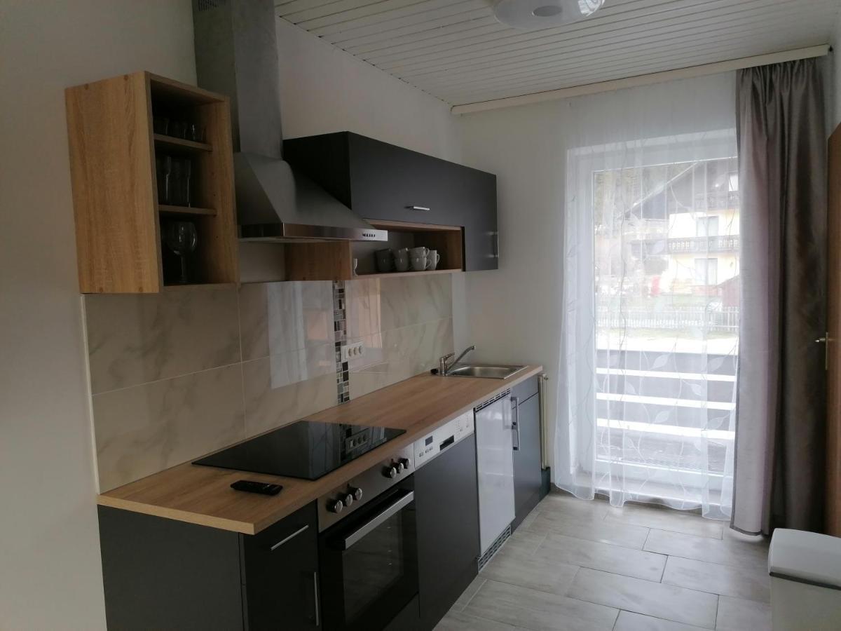 Apartment Sara Bad Mitterndorf Extérieur photo